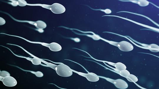 sperma.jpg